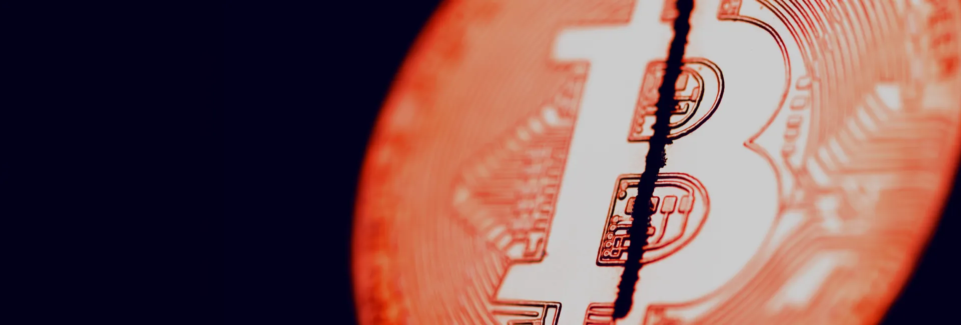 BSD Blog BTC Halving